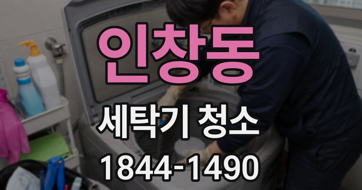 인창동 세탁기 청소