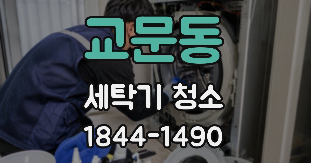 교문동 세탁기 청소