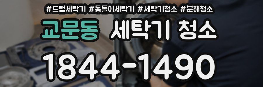 교문동 세탁기 청소