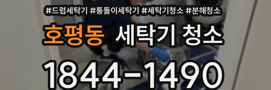 호평동 세탁기 청소