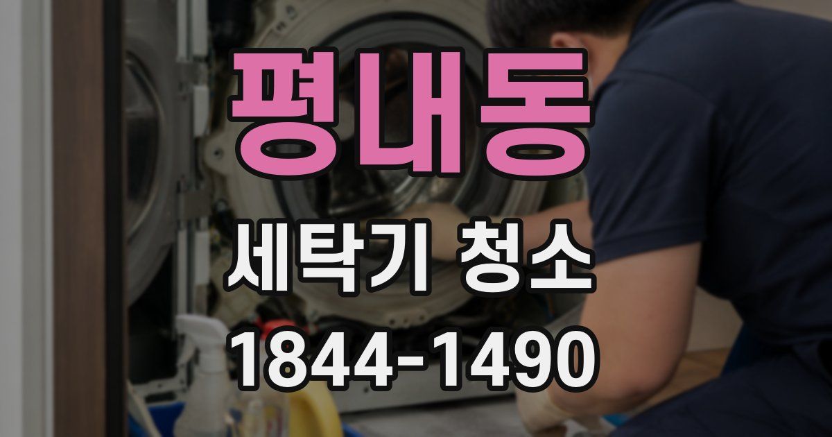 평내동 세탁기 청소