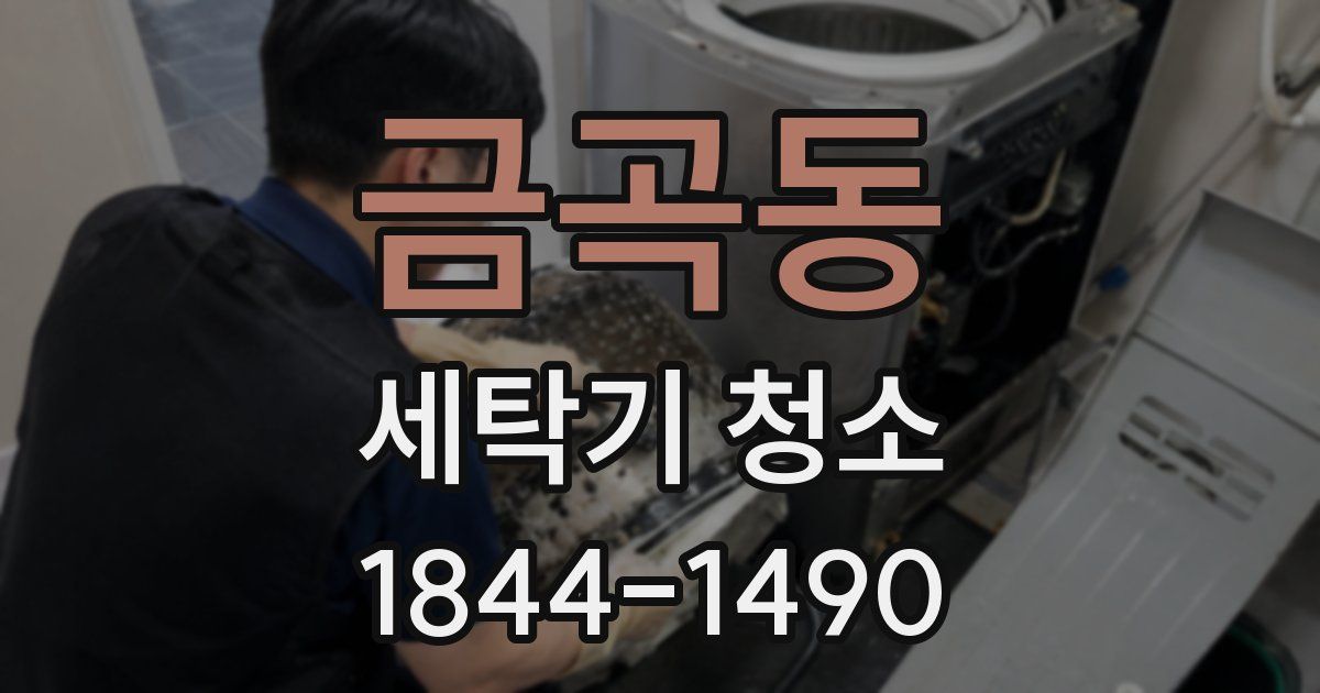 금곡동 세탁기 청소