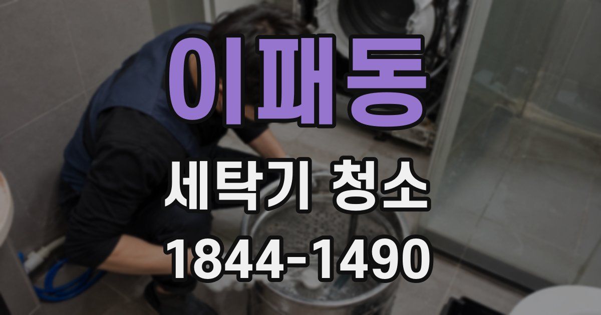 이패동 세탁기 청소