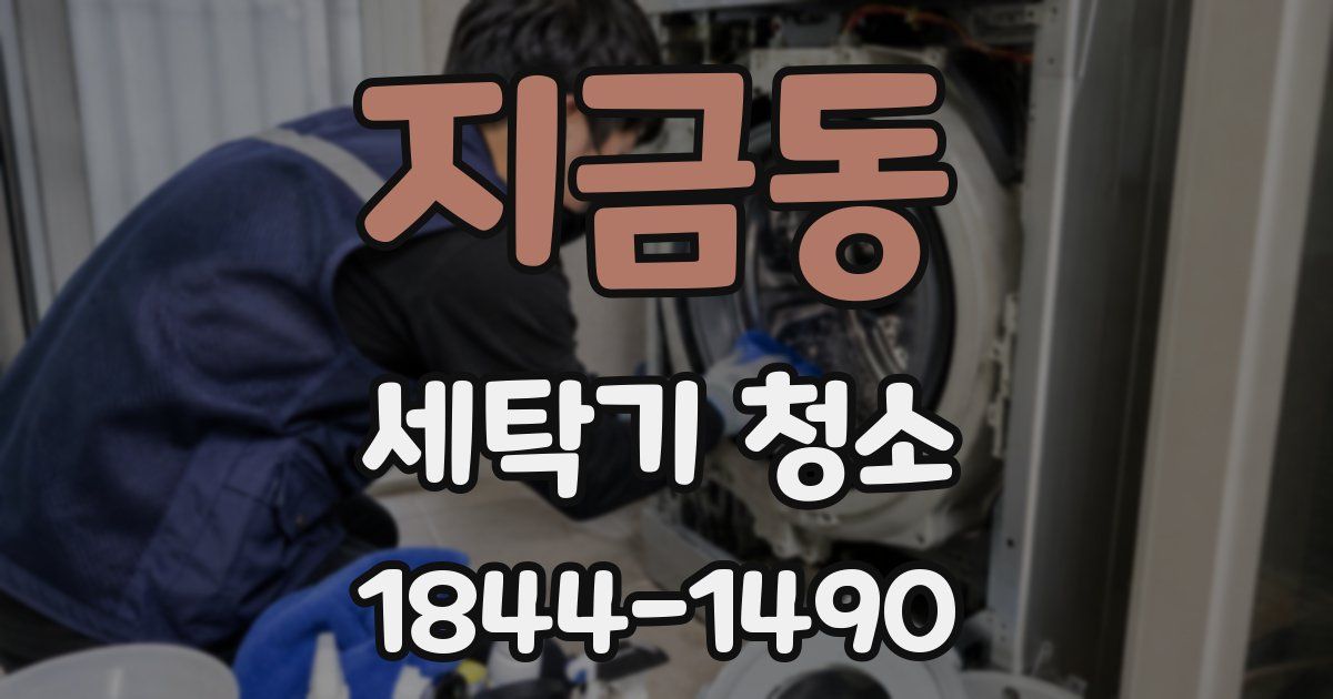 지금동 세탁기 청소