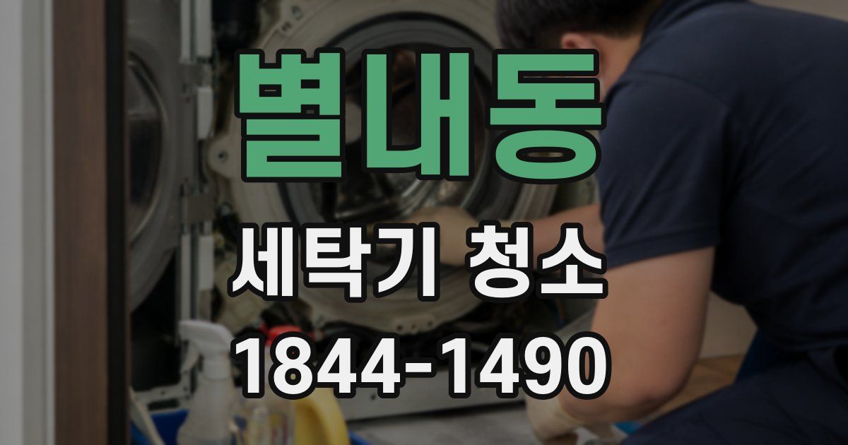 별내동 세탁기 청소