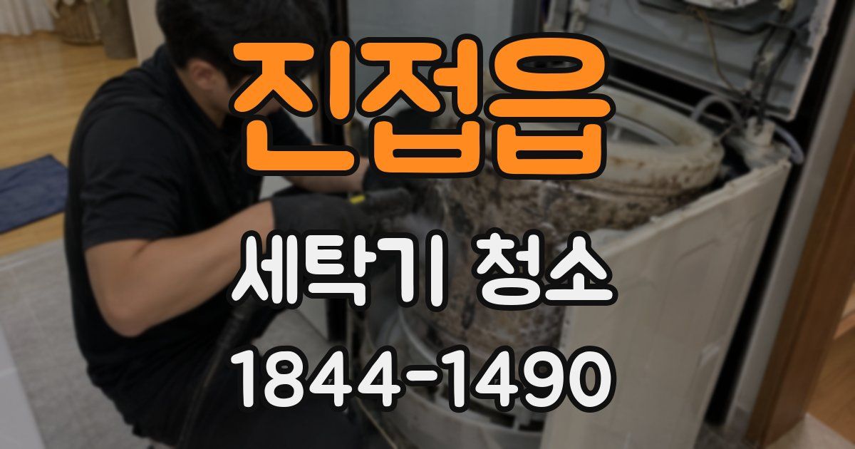 진접읍 세탁기 청소