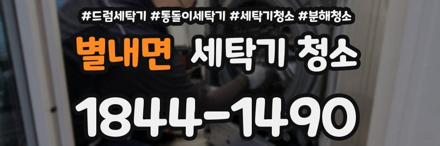 별내면 세탁기 청소