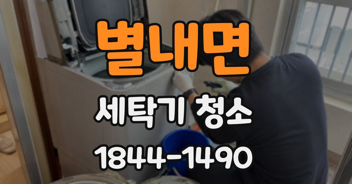 별내면 세탁기 청소