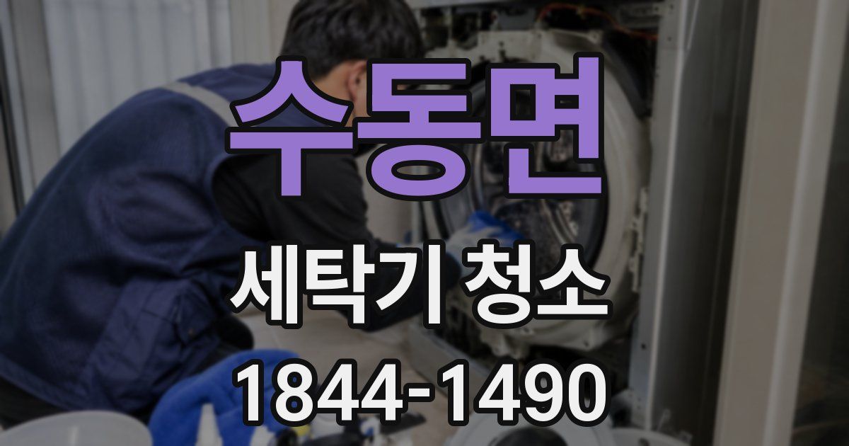 수동면 세탁기 청소