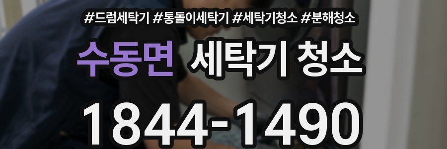 수동면 세탁기 청소