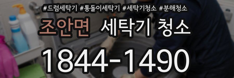 조안면 세탁기 청소
