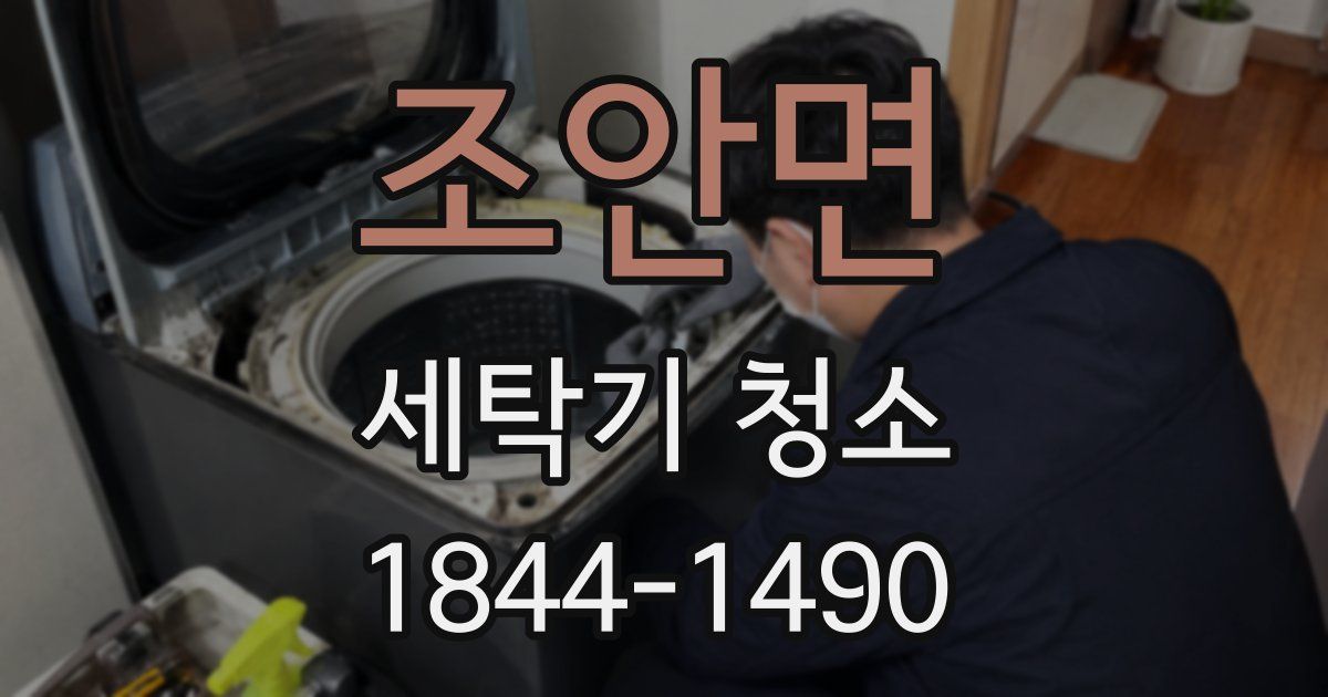 조안면 세탁기 청소