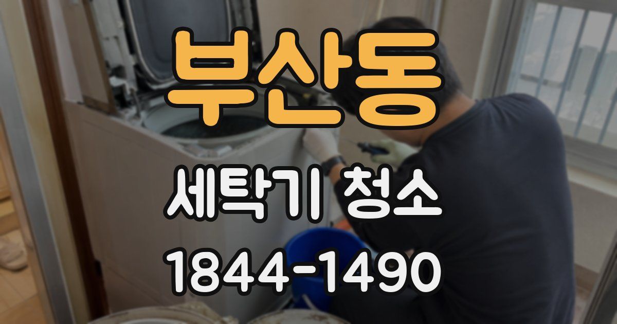 부산동 세탁기 청소