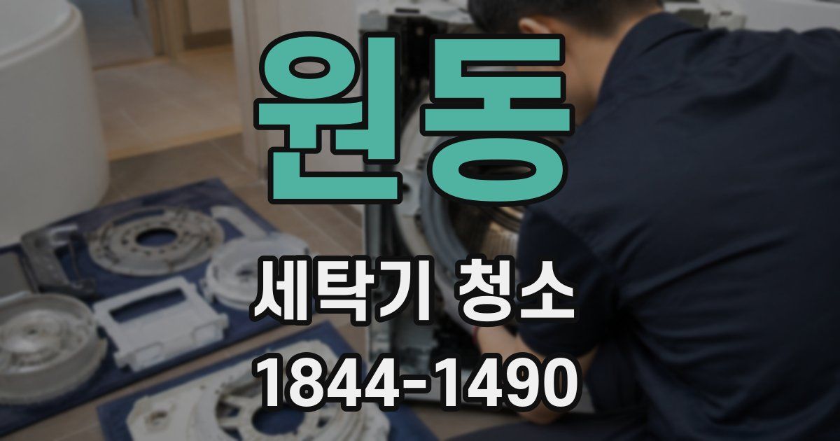 원동 세탁기 청소