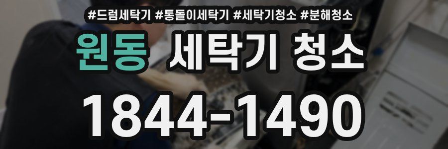 원동 세탁기 청소