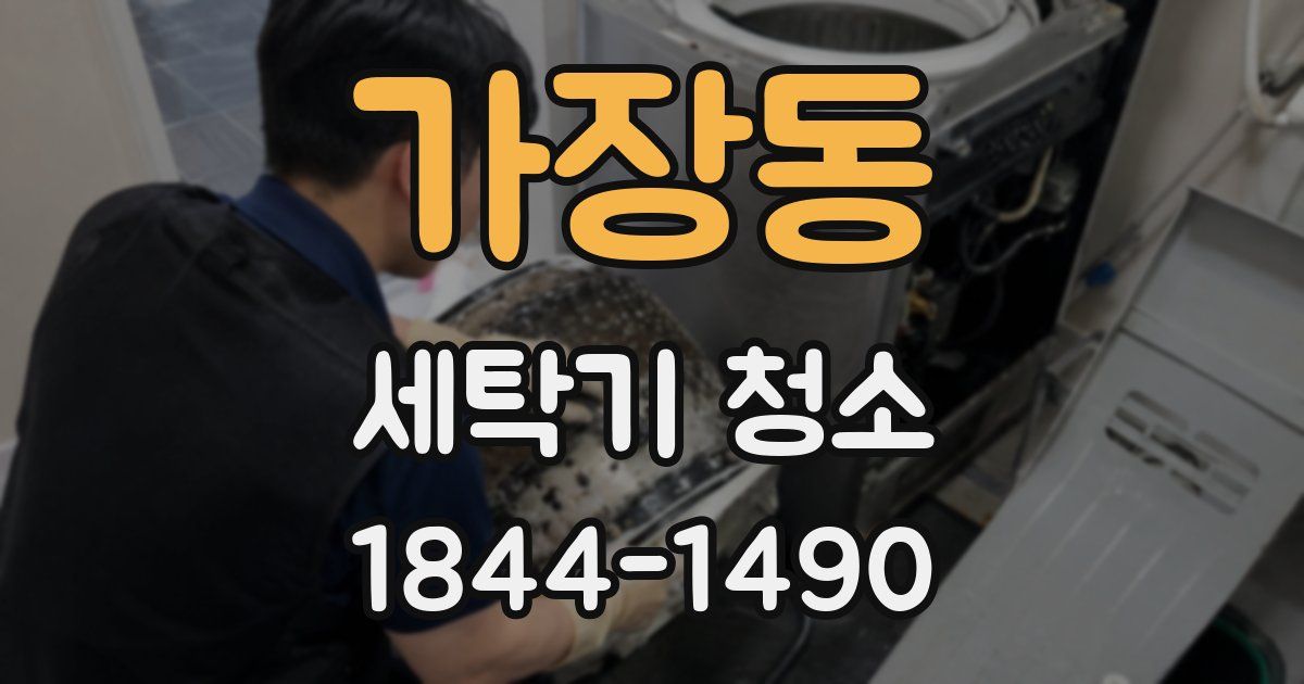 가장동 세탁기 청소