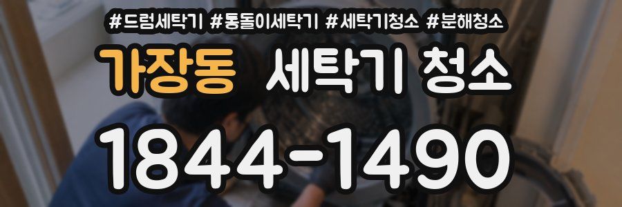 가장동 세탁기 청소