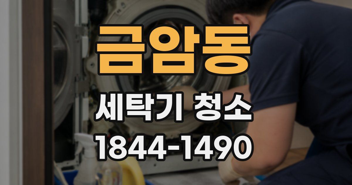 금암동 세탁기 청소