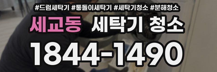 세교동 세탁기 청소