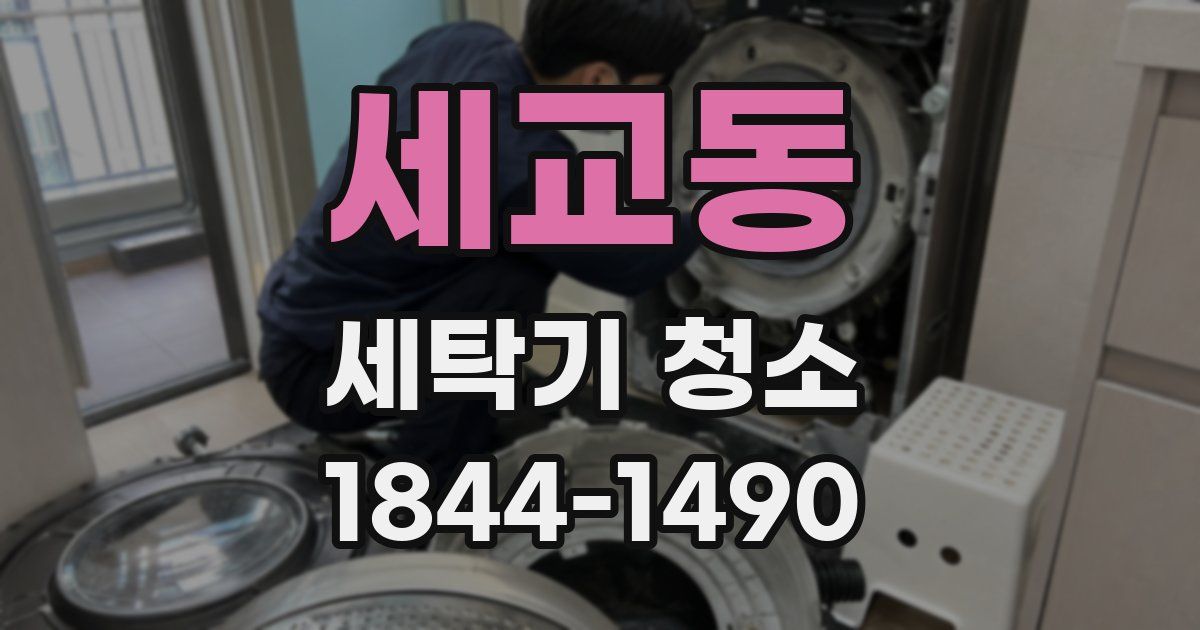 세교동 세탁기 청소