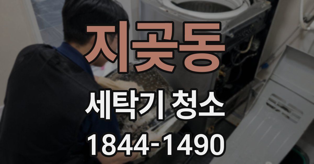 지곶동 세탁기 청소