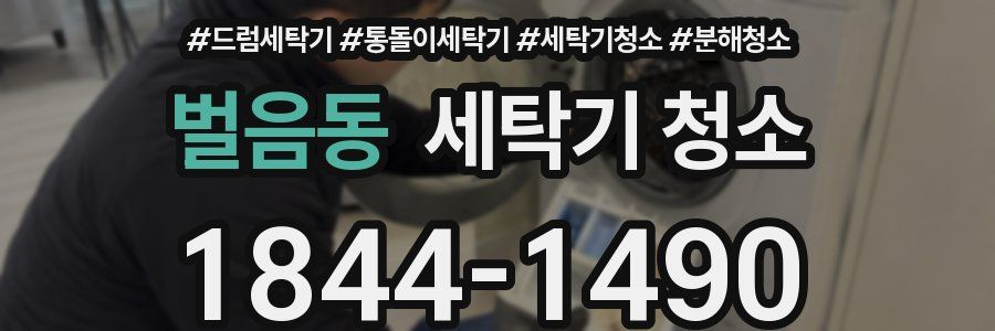 벌음동 세탁기 청소