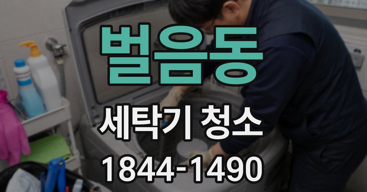 벌음동 세탁기 청소