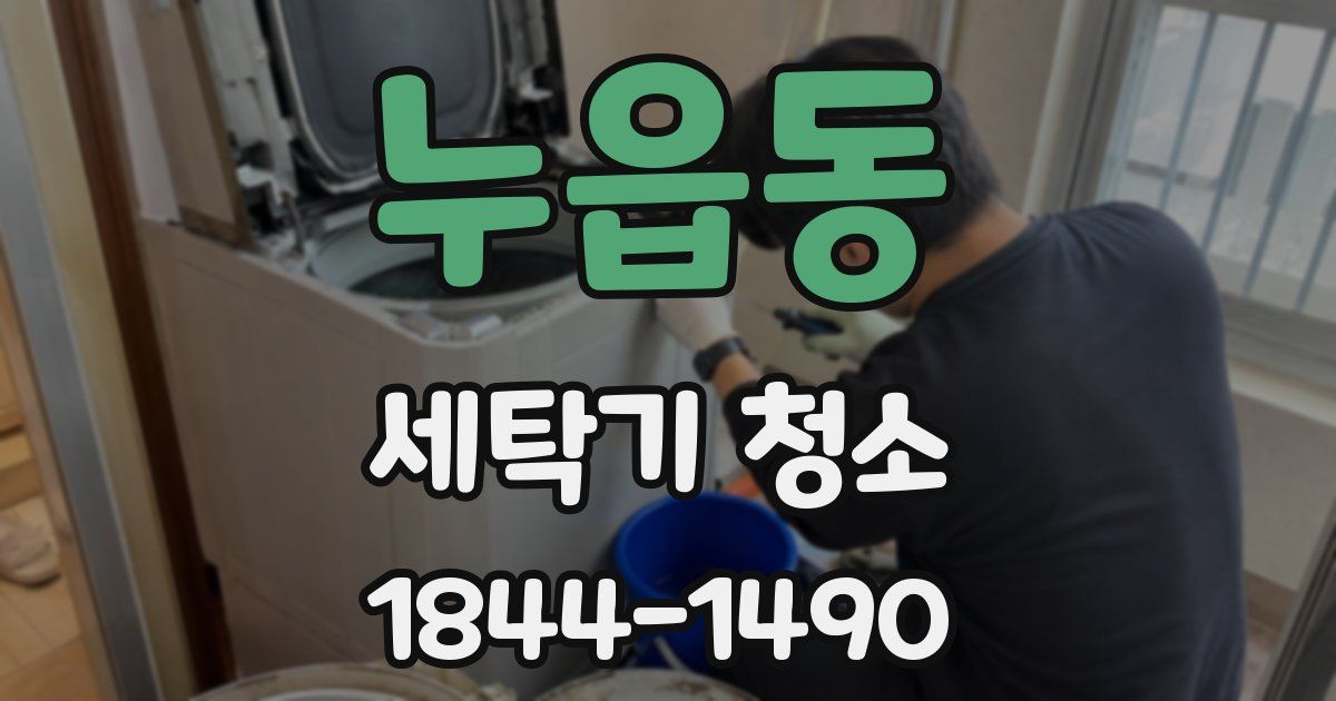 누읍동 세탁기 청소