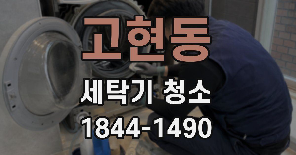 고현동 세탁기 청소