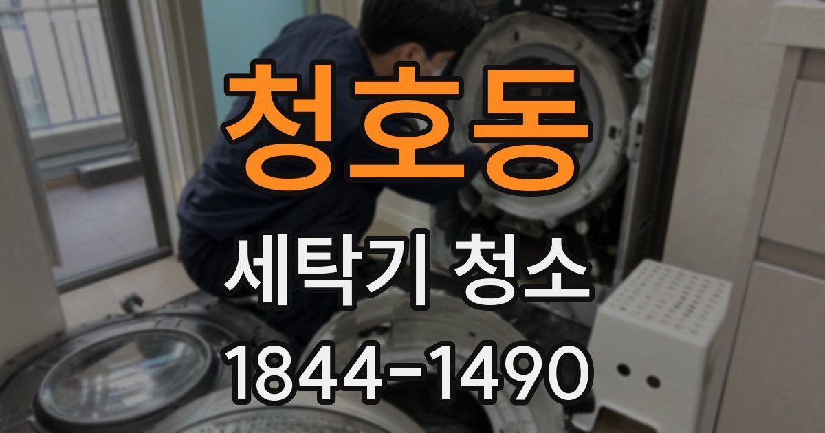 청호동 세탁기 청소