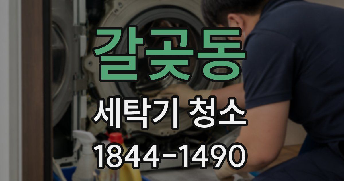 갈곶동 세탁기 청소