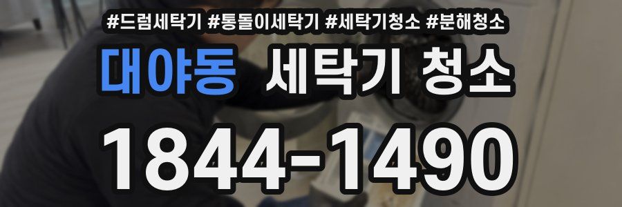 대야동 세탁기 청소