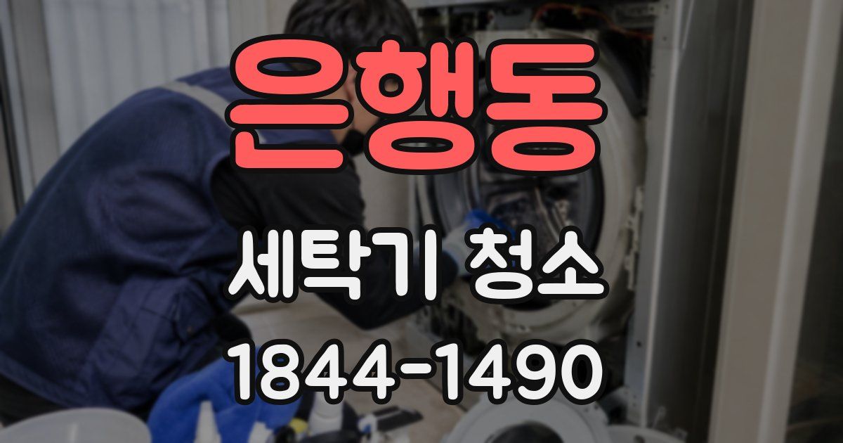 은행동 세탁기 청소