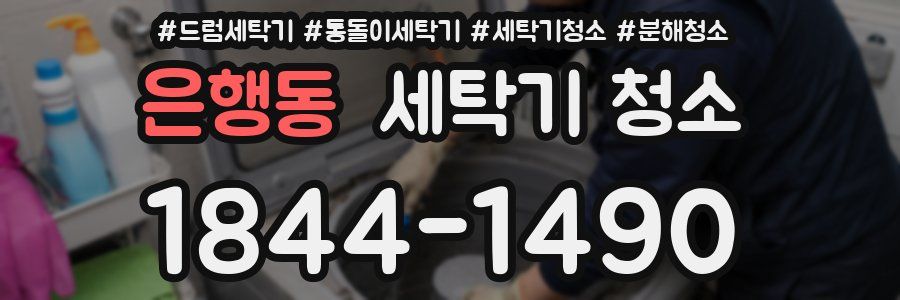 은행동 세탁기 청소