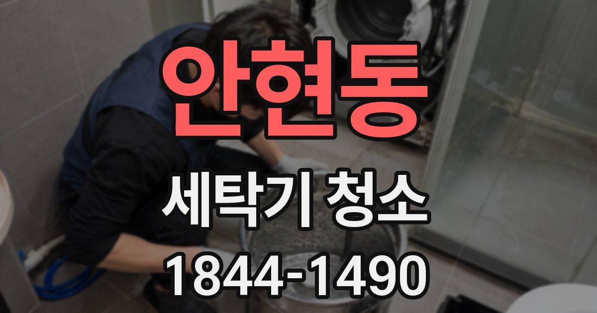 안현동 세탁기 청소
