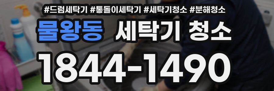 물왕동 세탁기 청소
