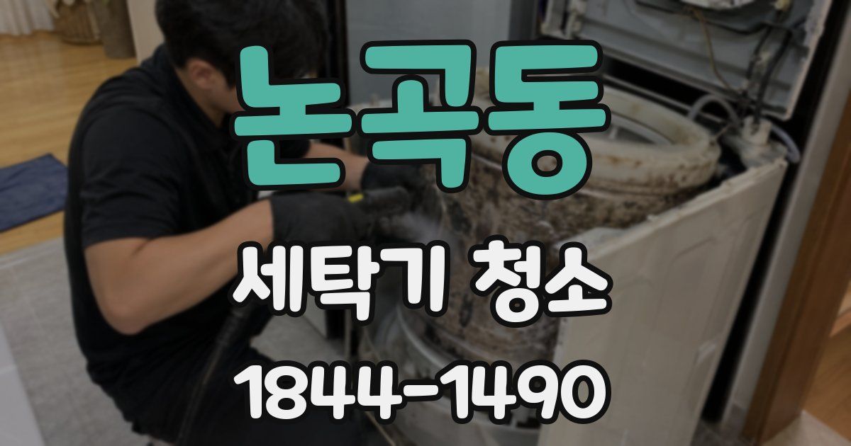 논곡동 세탁기 청소