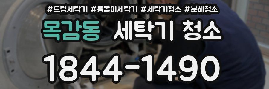 목감동 세탁기 청소