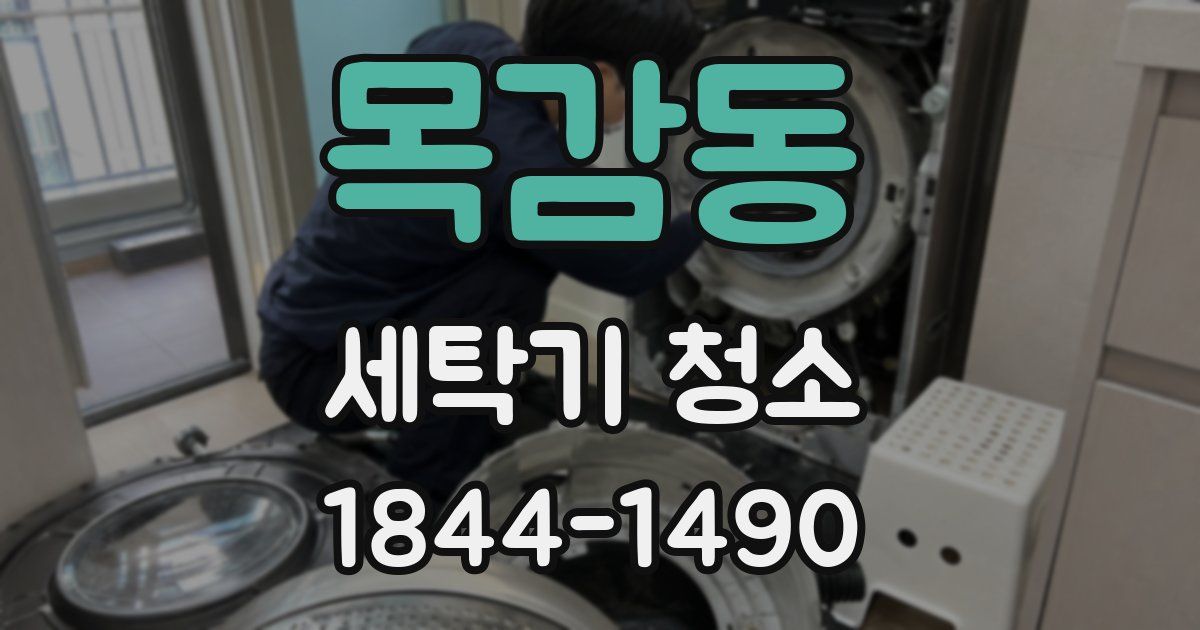 목감동 세탁기 청소