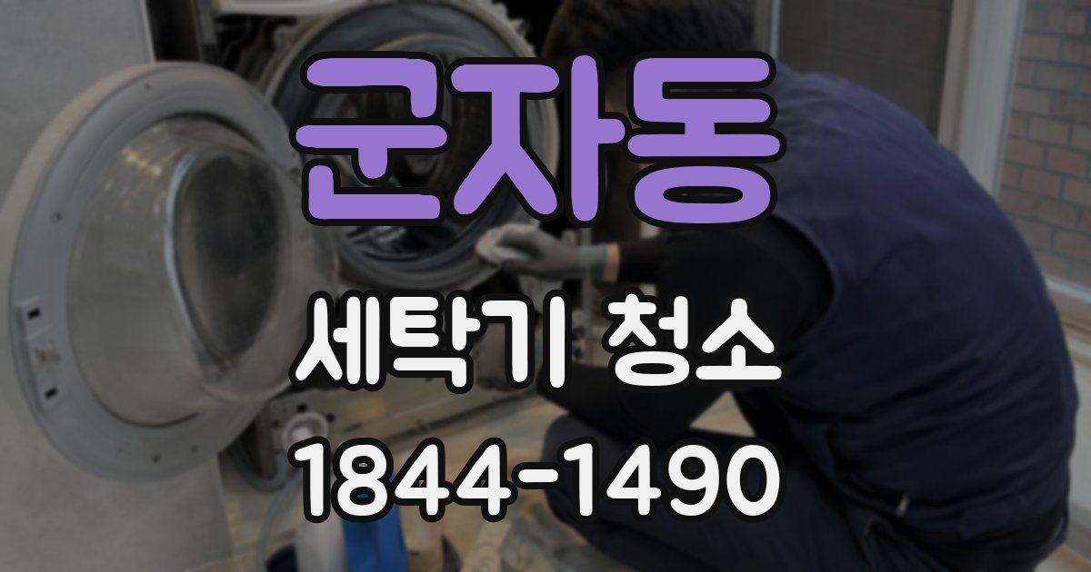 군자동 세탁기 청소
