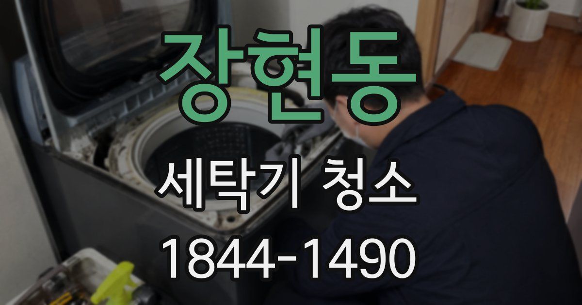 장현동 세탁기 청소