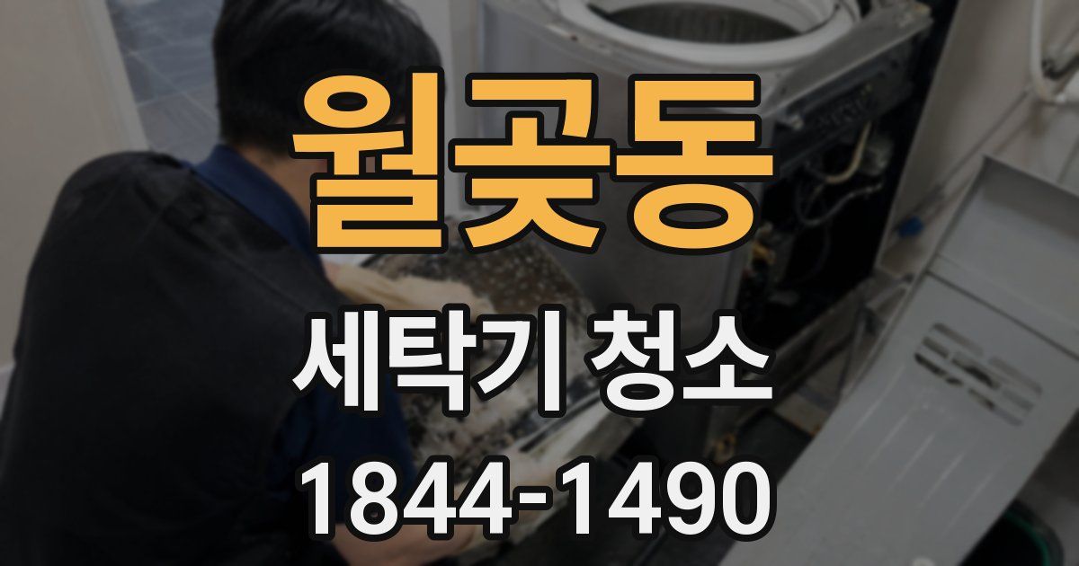 월곶동 세탁기 청소
