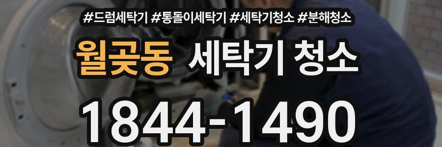 월곶동 세탁기 청소