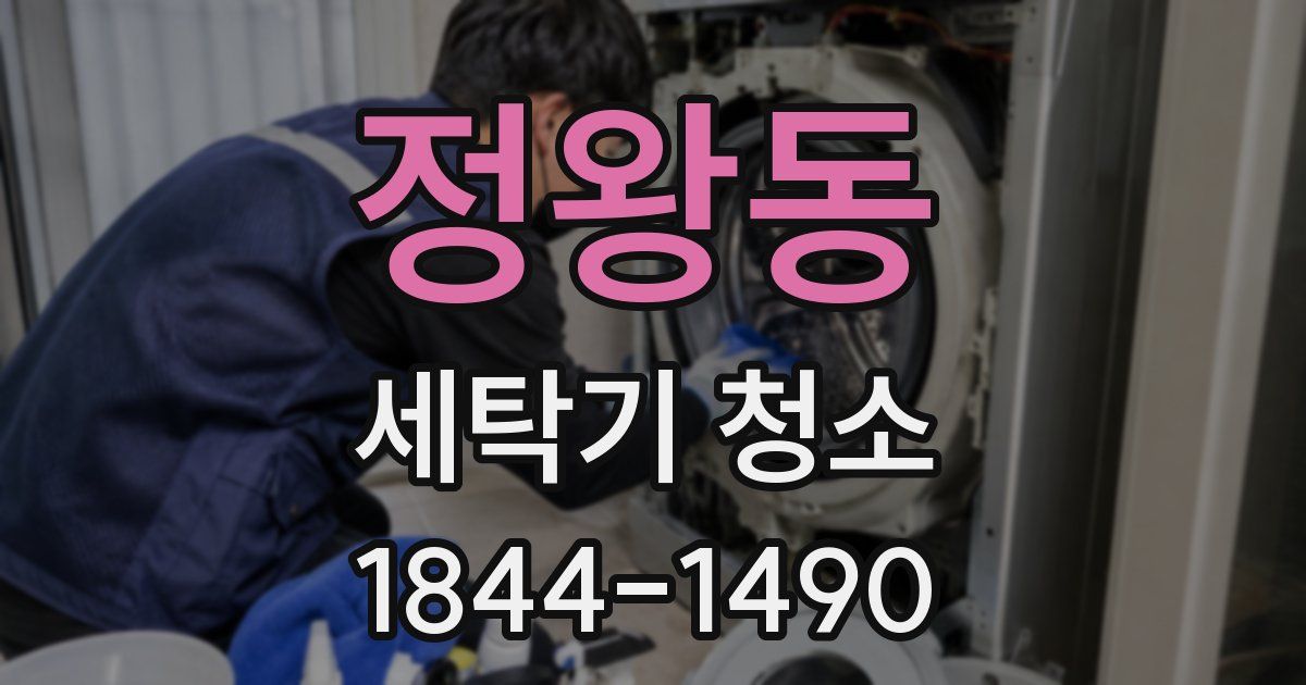 정왕동 세탁기 청소