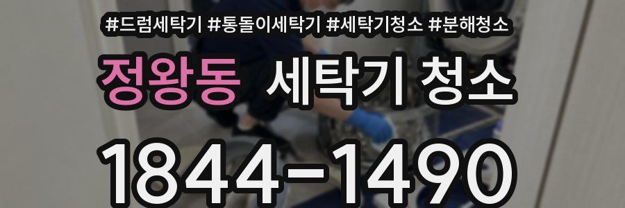 정왕동 세탁기 청소