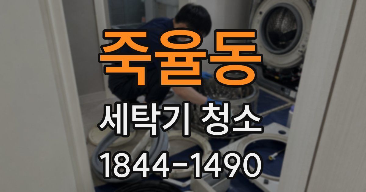 죽율동 세탁기 청소