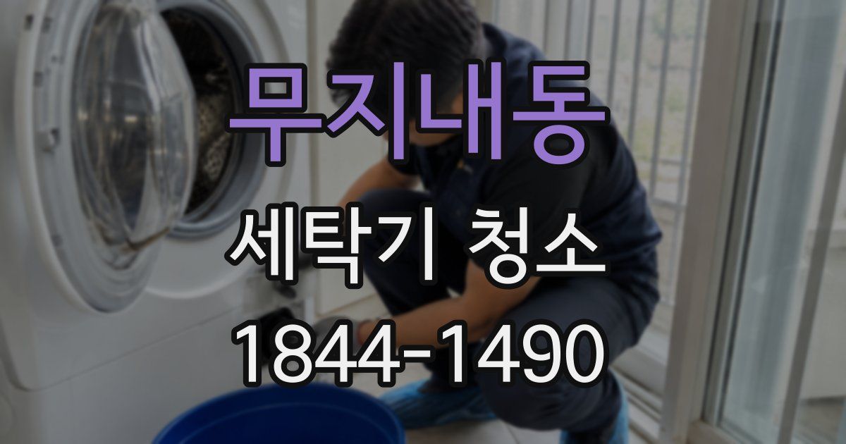 무지내동 세탁기 청소