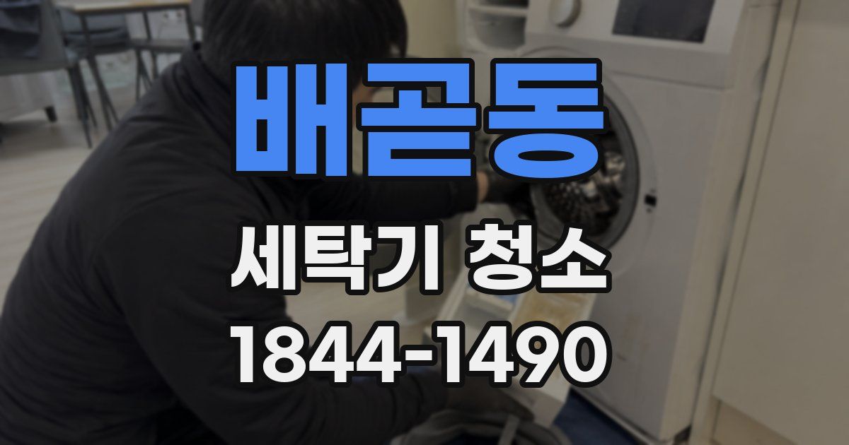 배곧동 세탁기 청소