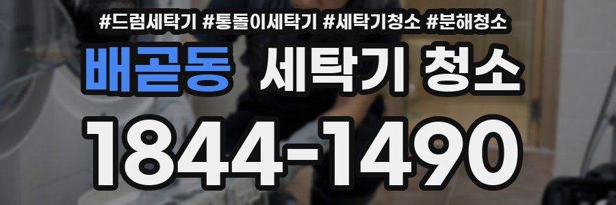배곧동 세탁기 청소