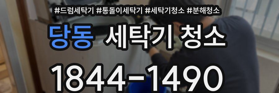 당동 세탁기 청소